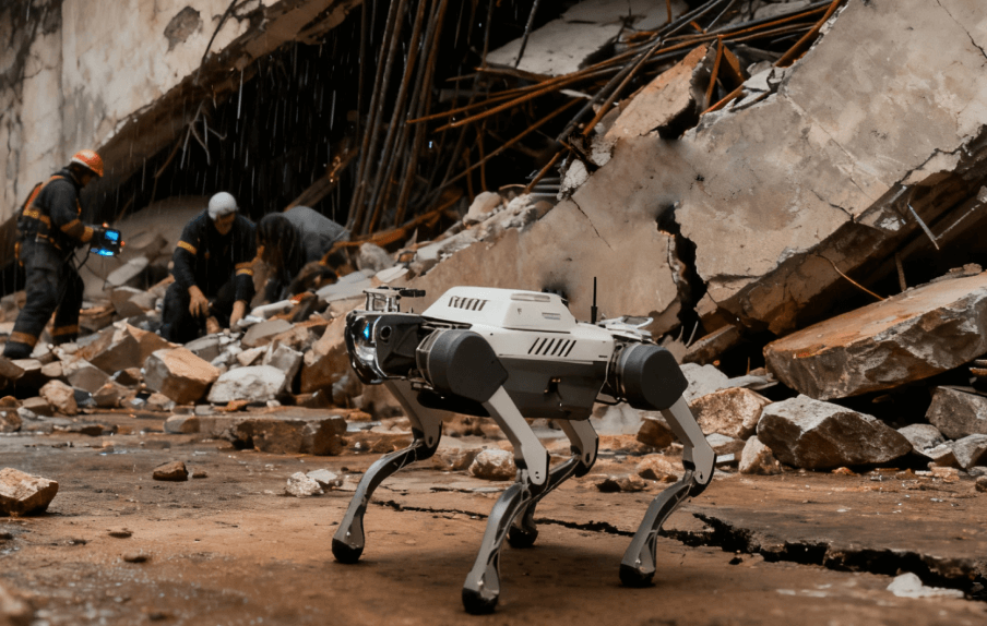 灾后救援-尊龙在线登录科技